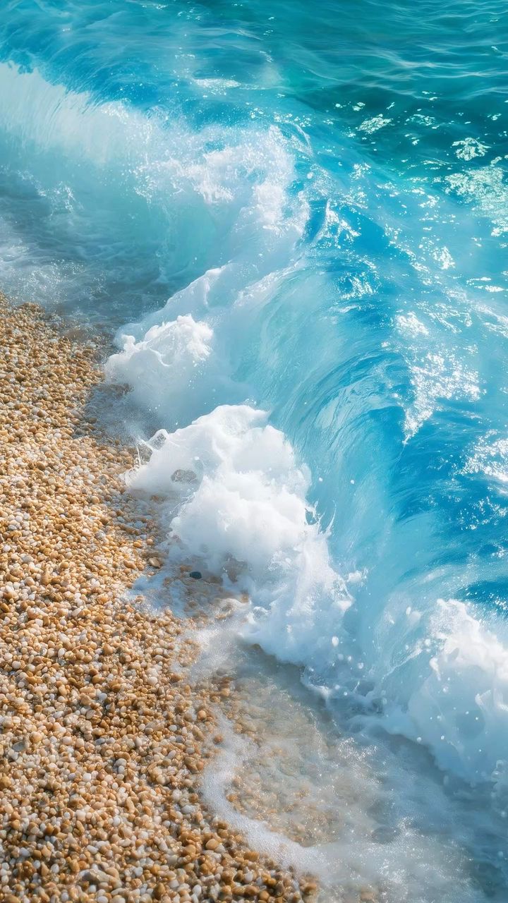 Море и берег